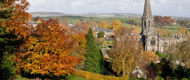 Autumn tree with town church in the background 