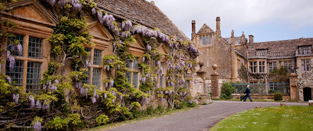 A beautiful old building covered in purple and green plants