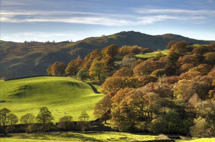 Autumn in the Lake District