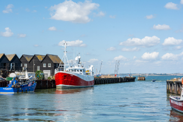 Whitstable Harbour