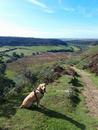 Hole of Horcum