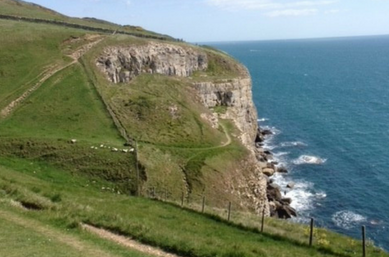 Dorset Coast