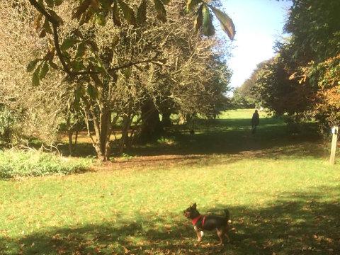 Buckingham Park