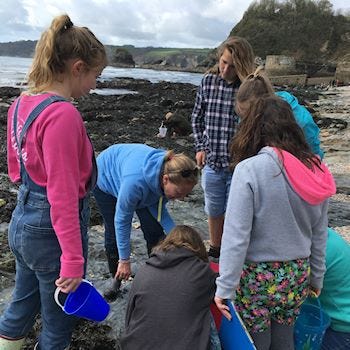 Environmental group on the beach