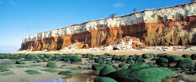 colourful layered cliffs and algae covered rocks