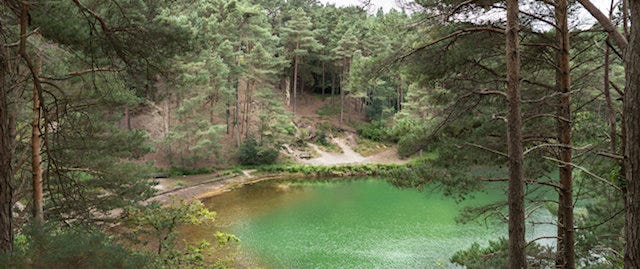 Looking down over the pool through the trees