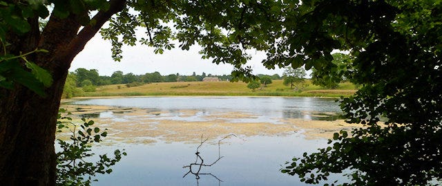 View over water of the Felbrigg Estate