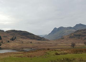 Chapel Stile 