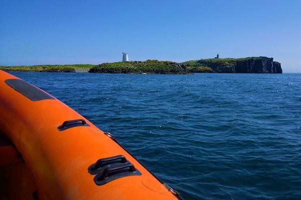 Adventure ribs experience