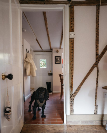 Dog in the cottage