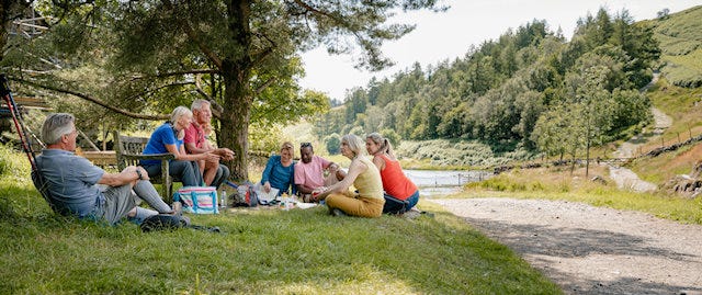 Group of adults stopping for a picnic in the park
