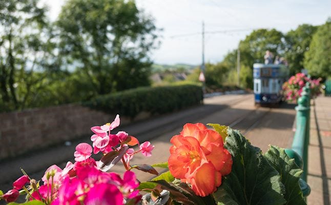 Seaton tramway