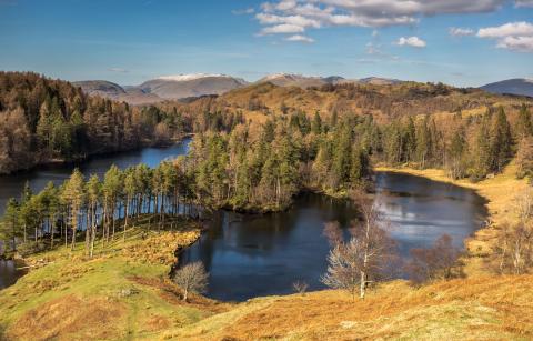 Tarn Hows