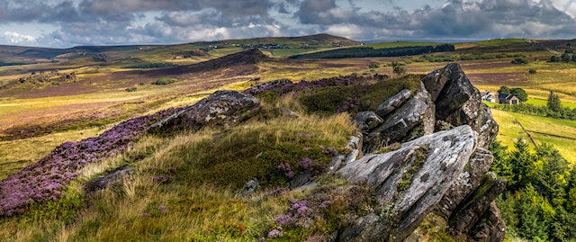 Large rocks breaking through the green landscape at the Roaches National Park
