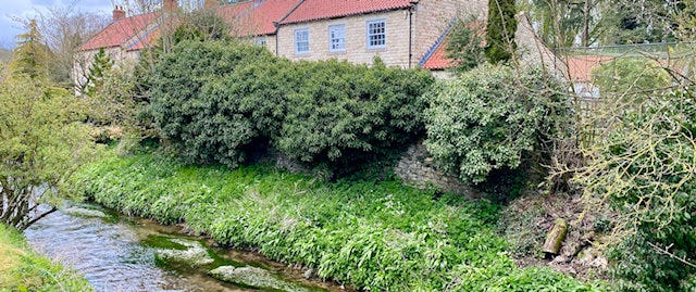 Stream at Thornton le Dale