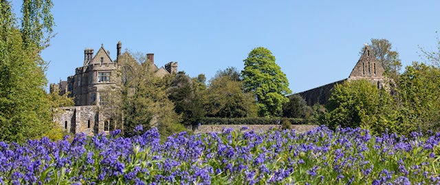 A field of bluebells with historical buildings in the distance