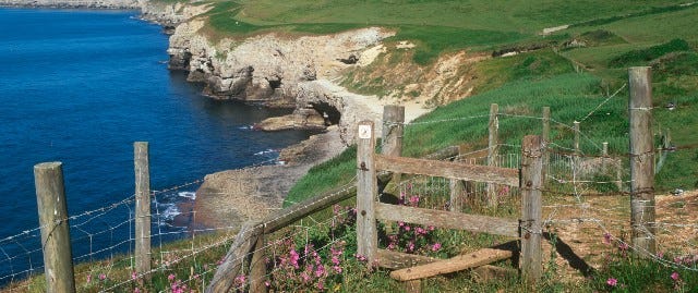 Coastal footpath at Langton Matravers