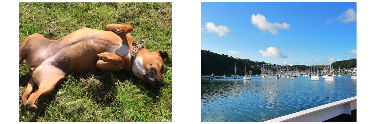 Hetty and the lower ferry to Dartmouth