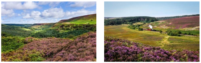 North York Moors National Park North York Moors National Park Steam Train