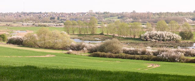 Suffolk countryside