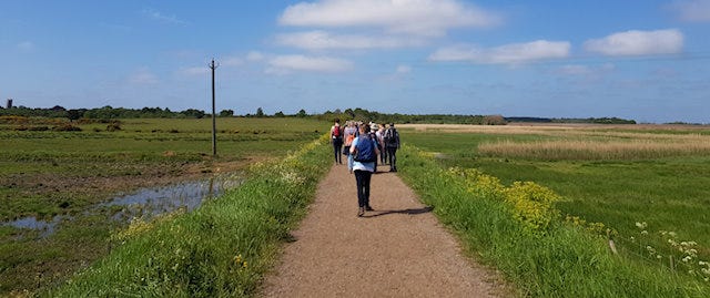 People walking on path above the marsh ground