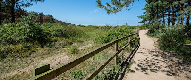 A winding pathway through the countryside