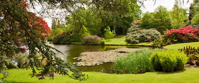 A manicured, vibrant mixture of green and red plants surround a pond