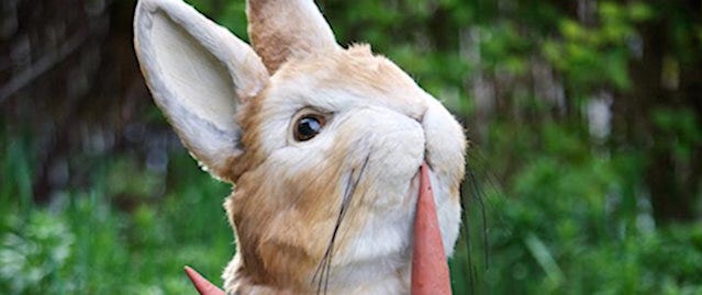 Model of Peter Rabbit, nibbling a carrot