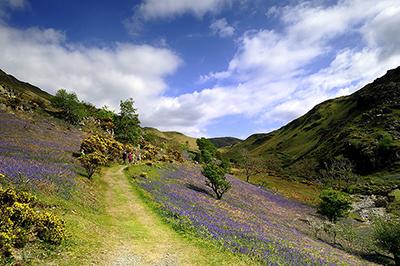 Rannerdale Knotts