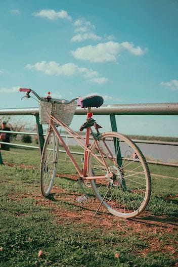 bicycle leaning against coastal railings