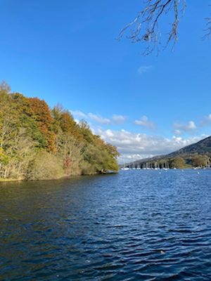 View of the lake