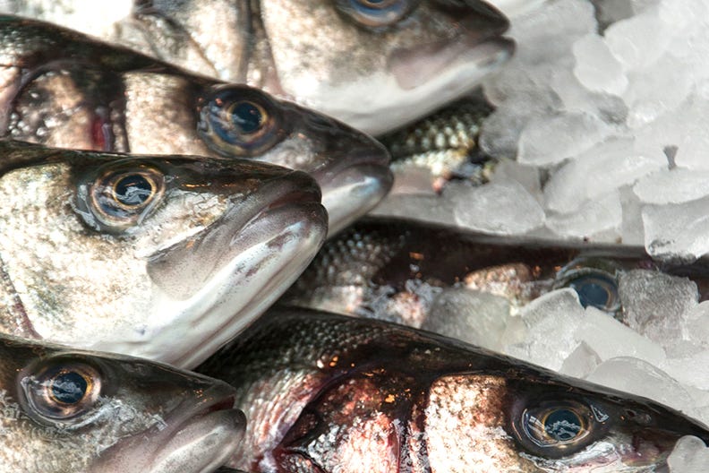 Fresh fish laying on a market counter