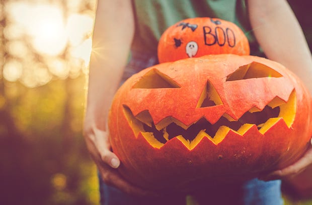 Carved pumpkins