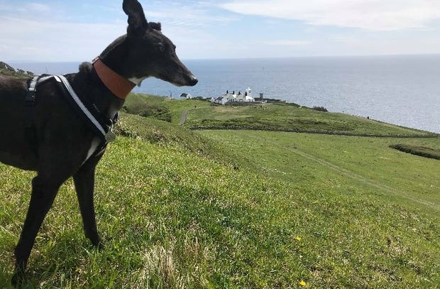 Durston country park walk