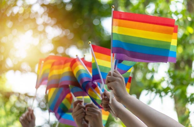 Small rainbow pride flags being waved