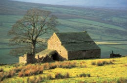 A holiday cottage set in peaceful surroundings