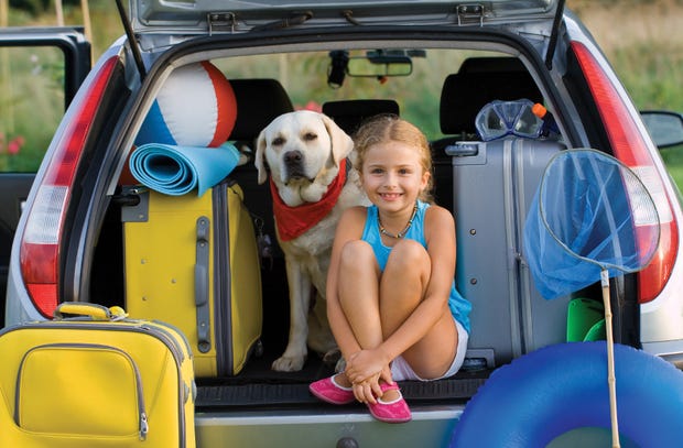 dog in car with girl with suitcases