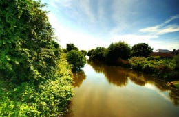 Summer in the South Downs River on the South Downs