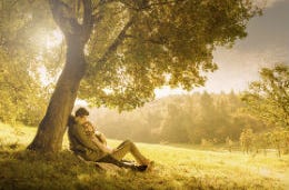 Couple sitting under a tree