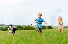 Two children running along a grassy field with their pet dog on a lead