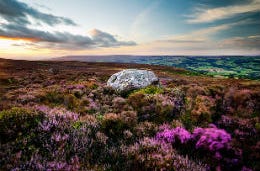 The rich purple moss of the Yorkshire Dales with the heavens above.