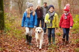 Family of five with Golden Retriever walking through woods