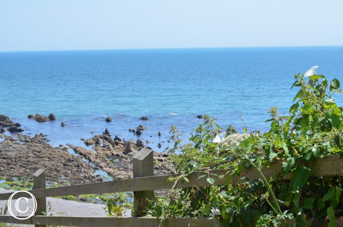 View of local coast