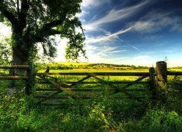 Grab your walking boots and head cross country over the High Weald