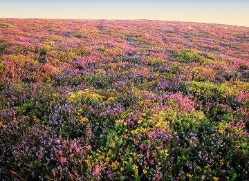 Exmoor National Park offers visitors stunning scenery