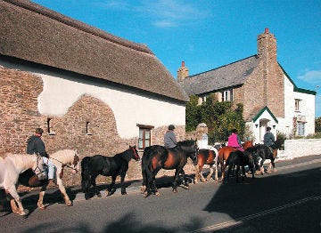 Pony trekking in Croyde, Devon